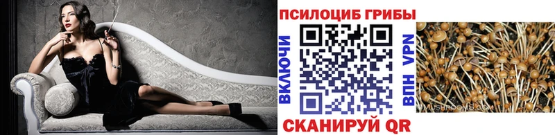 Галлюциногенные грибы Cubensis  Цивильск 